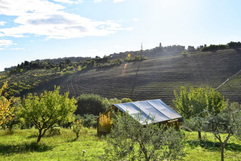 Safari tent in a lush green countryside with fruit trees and plowed fields under a sunny sky.