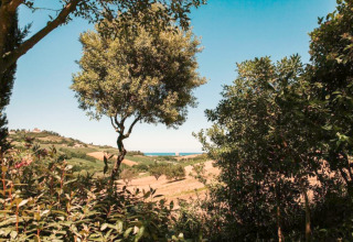 Vista dalla tenda safari 'Tenda 1' in Italia, tra natura rigogliosa, campi coltivati e mare sullo sfondo.