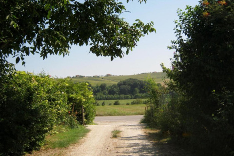 Uitzicht vanuit safari tent Tenda 1 in Italië met groen landschap, grindpad en zomerse bomen en struiken.