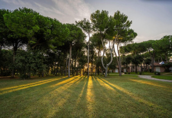 Sun rays filter through tall green pine trees onto a lawn near mobile homes at sunset in a serene park.