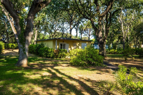 A mobile home nestled in a lush forest setting with tall trees, green shrubs, and dappled sunlight.