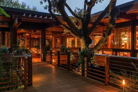 Casa móvil moderna con un gran árbol central, terraza de madera y luces cálidas rodeada de naturaleza.