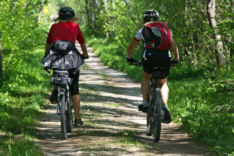 Deux personnes font du vélo sur un sentier forestier entouré de verdure par une journée ensoleillée.