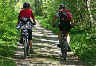 Twee mensen fietsen op een bospad omgeven door groene bladeren en zonlicht.