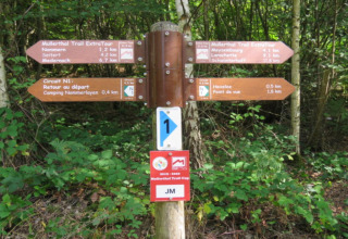 Vejskilt med vandreruter i en skov, herunder Mullerthal Trail, angiver destinationer og afstande.