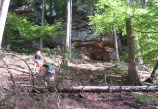 Deux personnes gravissent une pente boisée près de falaises rocheuses, sous des arbres feuillus verdoyants.