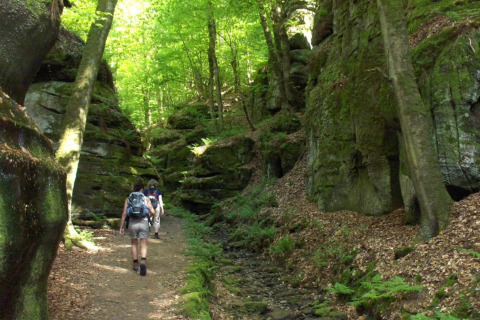 Deux randonneurs marchent dans une forêt verdoyante, encadrée par des falaises rocheuses couvertes de mousse.