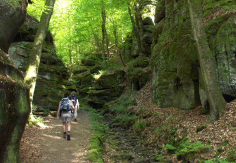 Deux randonneurs marchent dans une forêt verdoyante, encadrée par des falaises rocheuses couvertes de mousse.