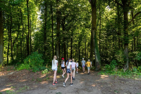 Des enfants marchent dans une forêt verte près du safari-tente Resort «Auf Kengert 1» au Luxembourg.