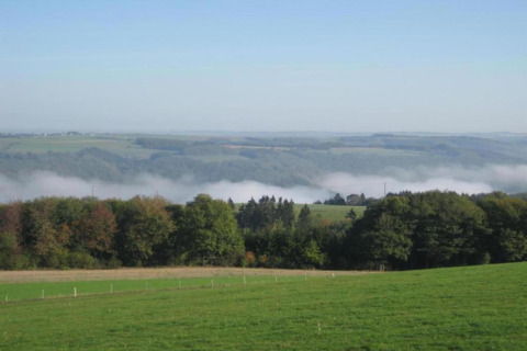 Uitzicht vanuit een safaritent op Resort Auf Kengert 1 in Luxemburg met groene weiden en lichte mist.