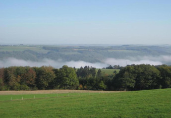 Vue depuis une tente safari au Resort Auf Kengert 1 au Luxembourg avec champs verts, arbres et brume légère.