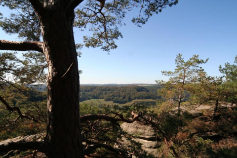 Zicht op bosrijke heuvels vanaf een safaritent op Resort «Auf Kengert 1» in Luxemburg onder blauwe hemel.