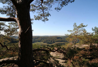 Vue sur les collines boisées depuis une tente safari au Resort «Auf Kengert 1» au Luxembourg, ciel dégagé.