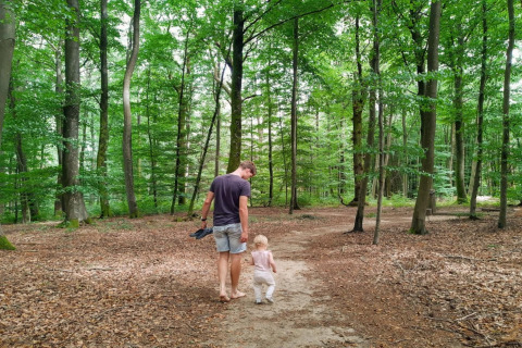 Un adulte et un petit enfant marchent pieds nus sur un sentier forestier bordé d’arbres verts près d’un safari.