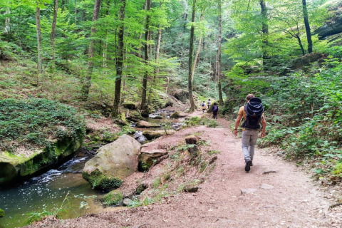 Un homme avec sac à dos marche sur un sentier forestier près d’un ruisseau, d’autres devant lui.