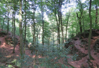 Forêt dense et terrain rocheux près de la tente safari Resort Nommerlayen 3 au Luxembourg en été.