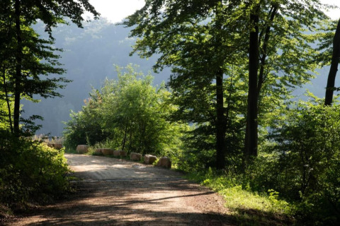 Chemin forestier près du safari tent Resort «Auf Kengert 1» au Luxembourg, lumière à travers les arbres.