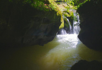 Belle cascade près du Resort «Auf Kengert 1» au Luxembourg, entourée de verdure et d’eau pure et claire.
