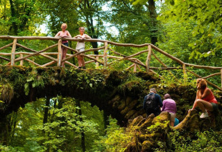 Mensen bewonderen het groene bos vanaf een houten brug bij Resort Auf Kengert 1 in Luxemburg.