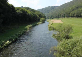 Rivière traversant une vallée verdoyante près du Resort «Auf Kengert 1» au Luxembourg, bois et prés.