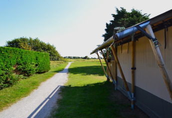 Camino junto a tienda de safari de lujo en Ameland, Países Bajos, bordeado de setos y campo verde.