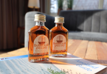 To flasker Babbelaar Ameland likør på et sofabord i en luksus safaritelte på Ameland, Holland.
