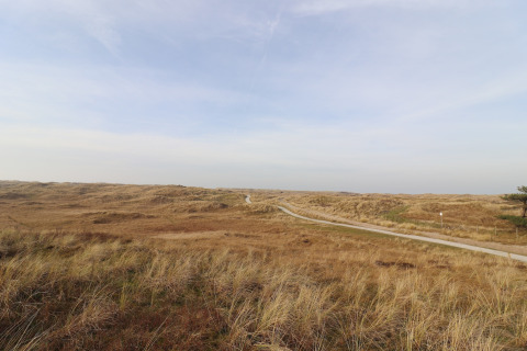 Vue sur les dunes et un sentier près d’une tente safari de luxe à Ameland, Pays-Bas, sous un ciel bleu.