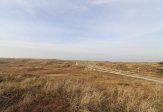Vue sur les dunes et un sentier près d’une tente safari de luxe à Ameland, Pays-Bas, sous un ciel bleu.
