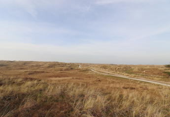 Vista de dunas de arena y camino cerca de una tienda safari de lujo en Ameland, Países Bajos, bajo cielo azul.