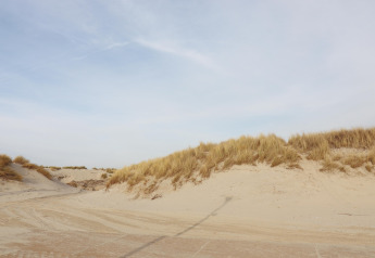 Sandy dunes with tall grasses under a blue sky near the Luxury Safari tent on Ameland, Netherlands.
