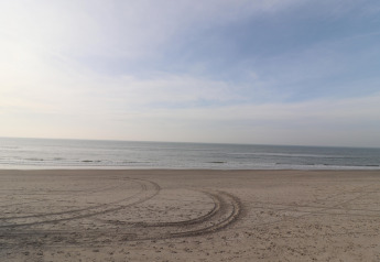 Udsigt over en tom strand med havet i baggrunden og bildækspor i sandet på Ameland, Holland.