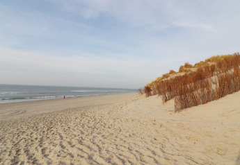 Sandy beach with dunes and sea view on Ameland island, Netherlands, under a clear sky.