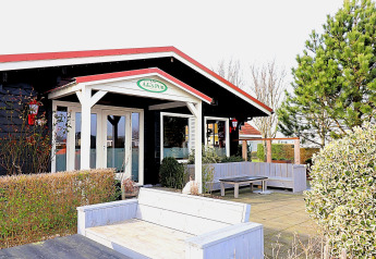 Udendørs område ved A.G.'s Pub ved luksussafari-telt 'on Ameland', omgivet af planter i Holland.