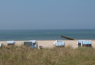 Sedie da spiaggia a righe blu e bianche a By Ostseebad Rerik, Germania, con vista sul Mar Baltico.