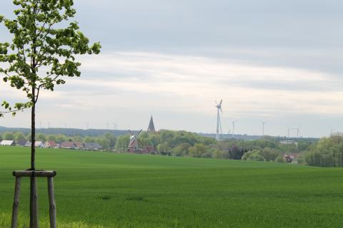 Landschap met boom, windmolens en dorp bij Ostseebad Rerik, Duitsland, onder een bewolkte hemel.