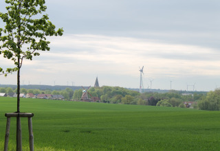 Paesaggio con albero solitario, turbine eoliche e villaggio vicino a Ostseebad Rerik, Germania, cielo nuvoloso.
