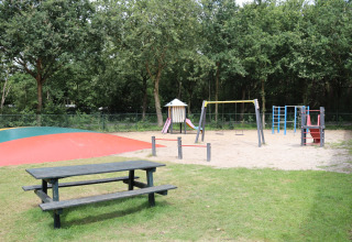 Parque infantil con columpios, tobogán, estructura para escalar y mesa de picnic en Duinhoeve 7, Países Bajos.