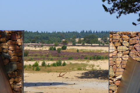 Vue depuis une tente safari au parc Duinhoeve 7, Pays-Bas, avec sable, pierres et nature verdoyante.
