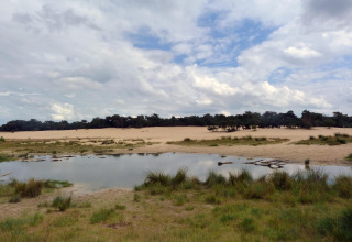 Vista de dunas de arena, estanque y bosque bajo un cielo nublado en el parque Duinhoeve, Países Bajos.