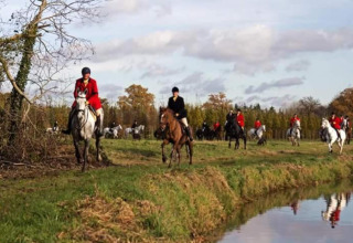 Ryttere deltager i en jagt på heste nær en dam ved Recreation park Duinhoeve 7 i Holland.