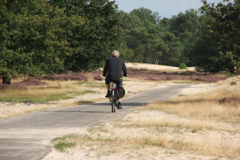 En person cykler på en sti gennem sandede områder og skov ved Recreation park Duinhoeve 7 i Holland.