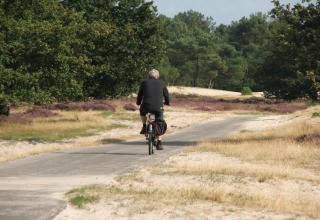 A person rides a bicycle along a sandy path through greenery at Recreation park Duinhoeve 7 in the Netherlands.