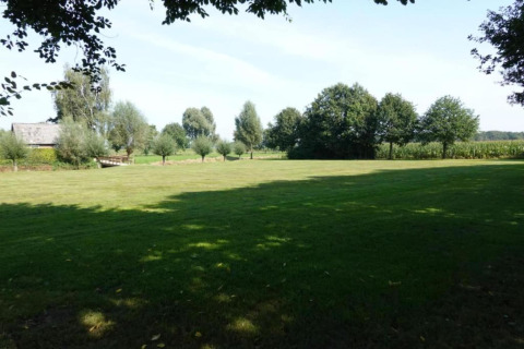 Scenic view of a grassy field, trees, and a small house at Duinhoeve Recreation Park in Netherlands.