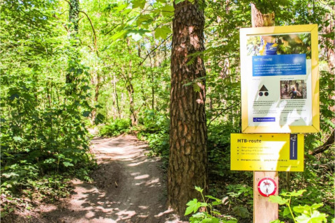 MTB route sign in a lush forest at recreation park Duinhoeve 7, Netherlands, with a sunlit dirt path.