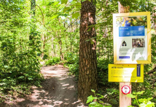 MTB-rute skilt i grøn skov ved rekreativ park Duinhoeve 7 i Holland, klart sollys og natursti.