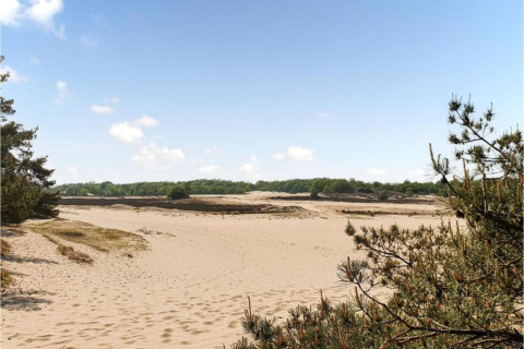 Paysage de dunes sablonneuses et pins au parc Duinhoeve 7 sous un ciel bleu aux Pays-Bas.