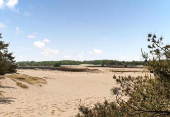 Dunas de arena y pinos en el parque recreativo Duinhoeve 7 bajo un cielo azul claro en los Países Bajos.