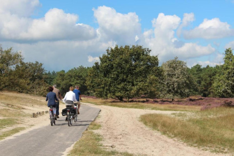 Tres personas montan en bicicleta por un sendero natural en el Recreation park Duinhoeve 7 en los Países Bajos.