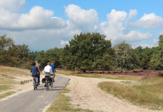Drie personen fietsen op een schilderachtig pad bij Recreation park Duinhoeve 7, Nederland, tussen de natuur.