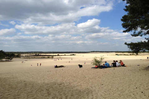 Udsigt over sandklitter med familier der slapper af, taget fra rekreationsparken Duinhoeve i Holland.